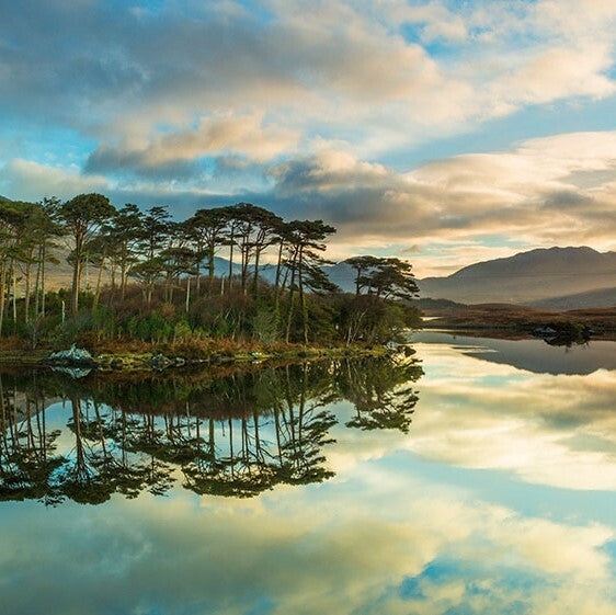 Landscapes