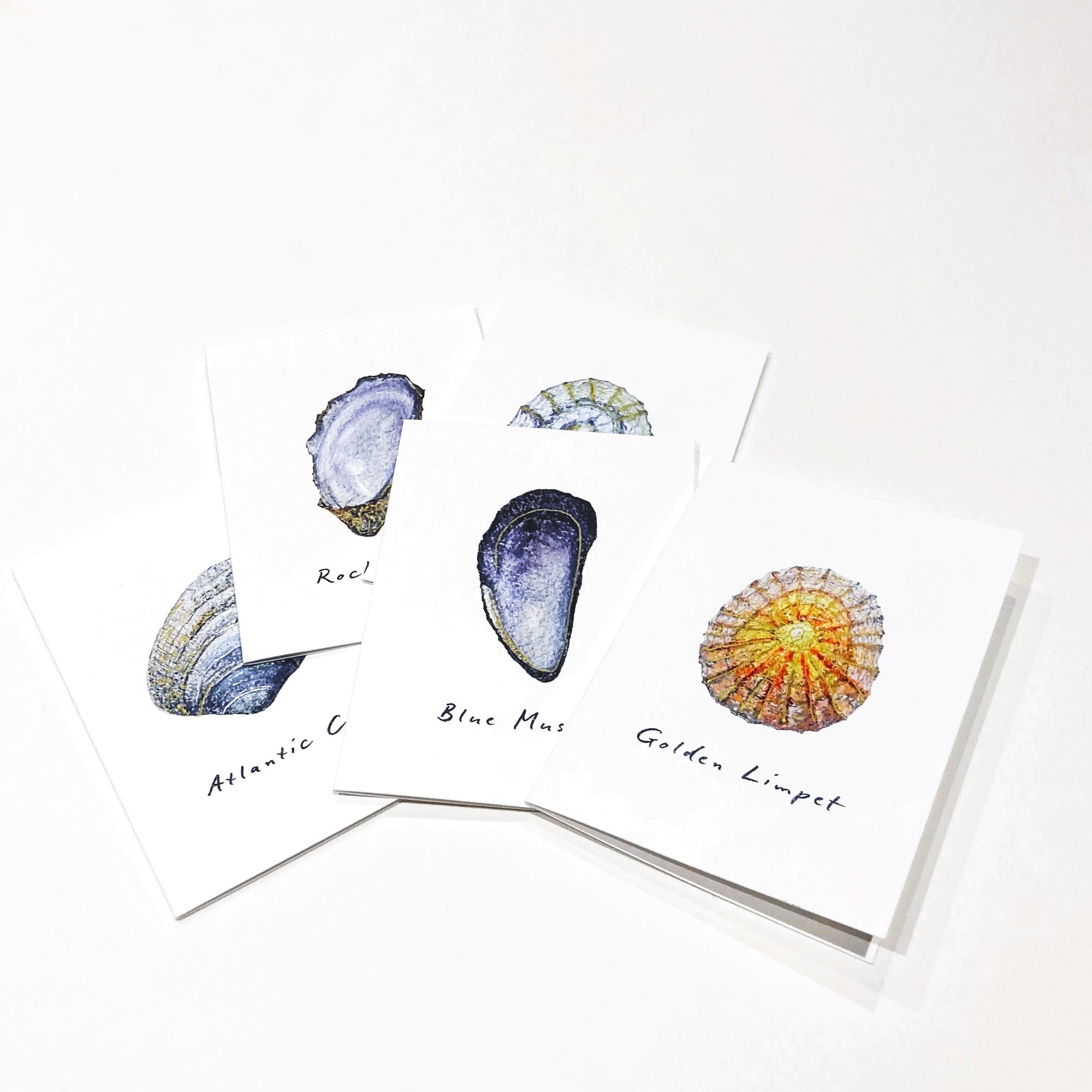 Rosie Keane Artist