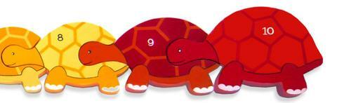 AJ 200 Number Row Tortoise