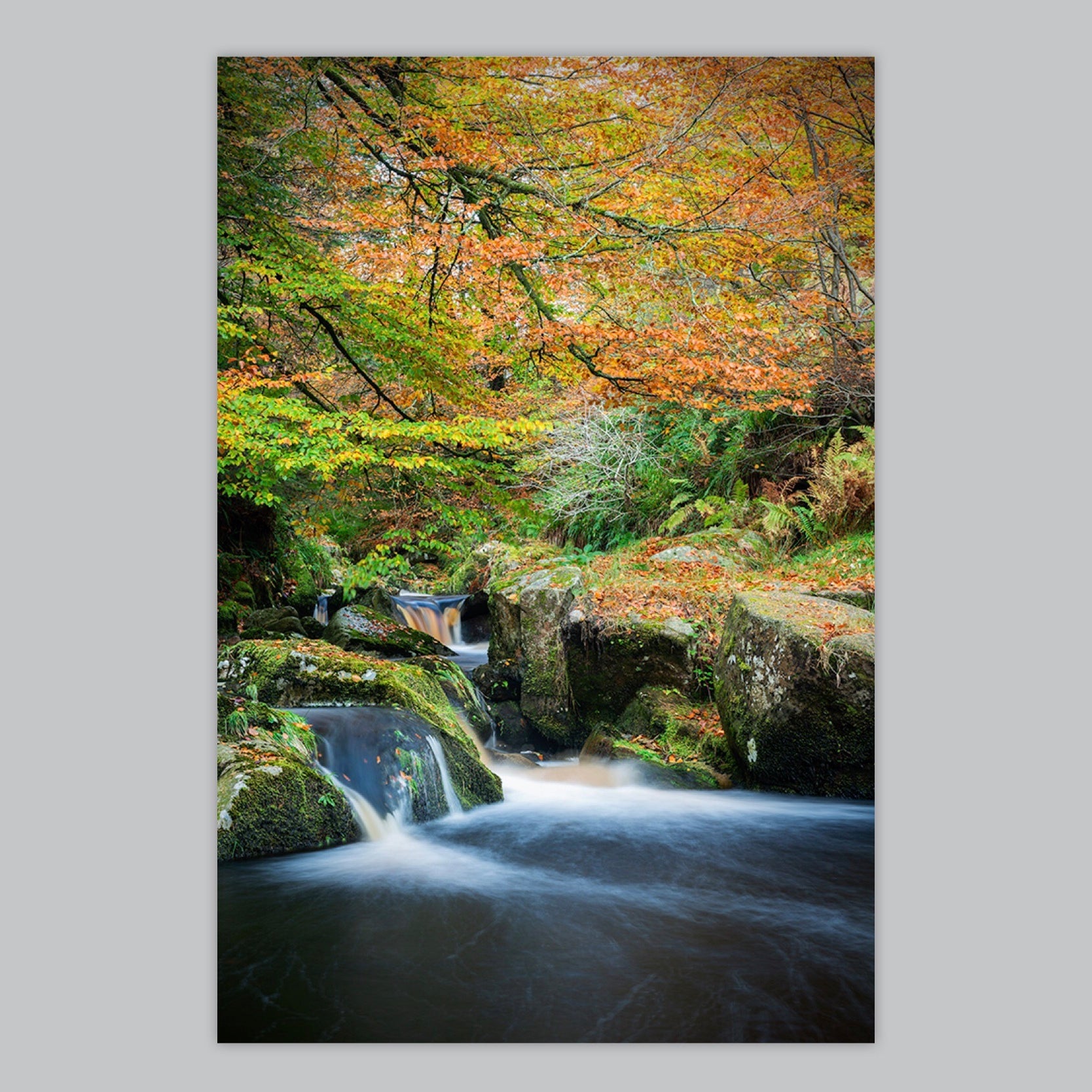 Cloghleagh Autumn