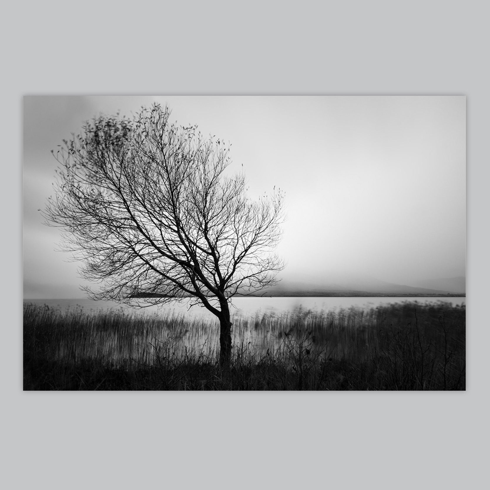 Lakeside Isolation