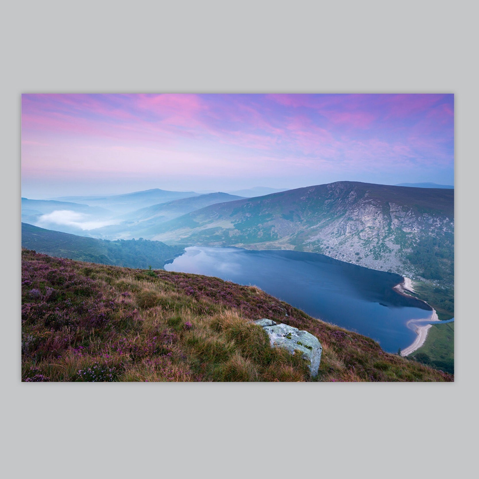 Misty Purple