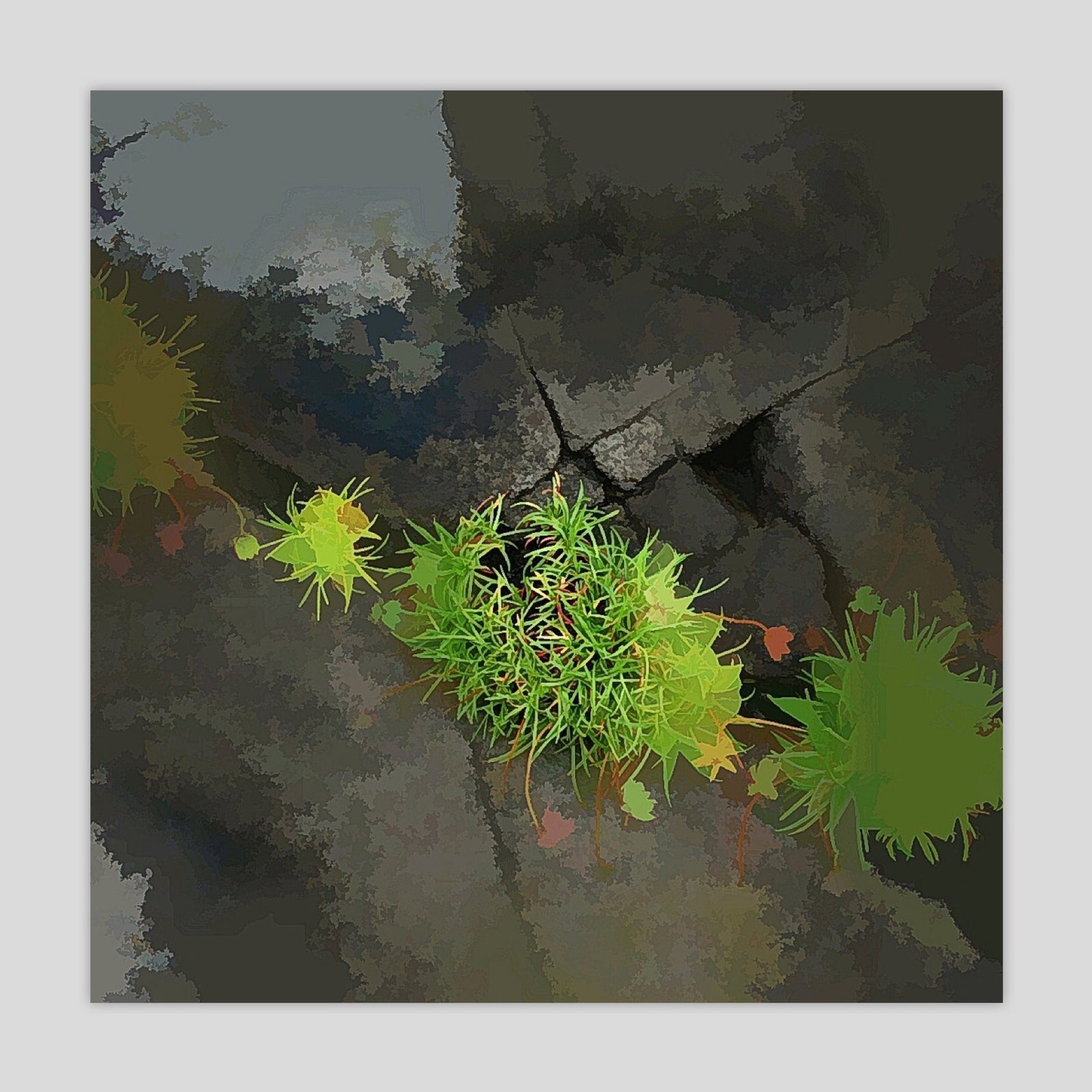 Burren Flowers (3225S-M7)