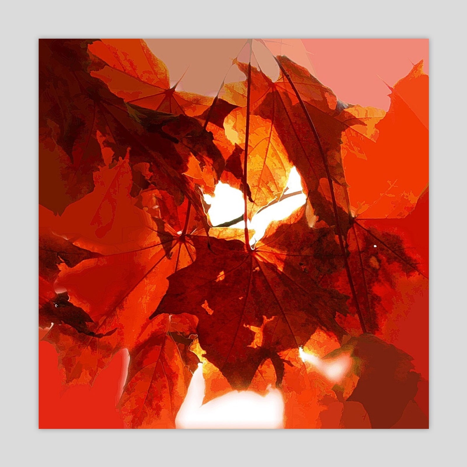 Autumn Leaves (0624S)