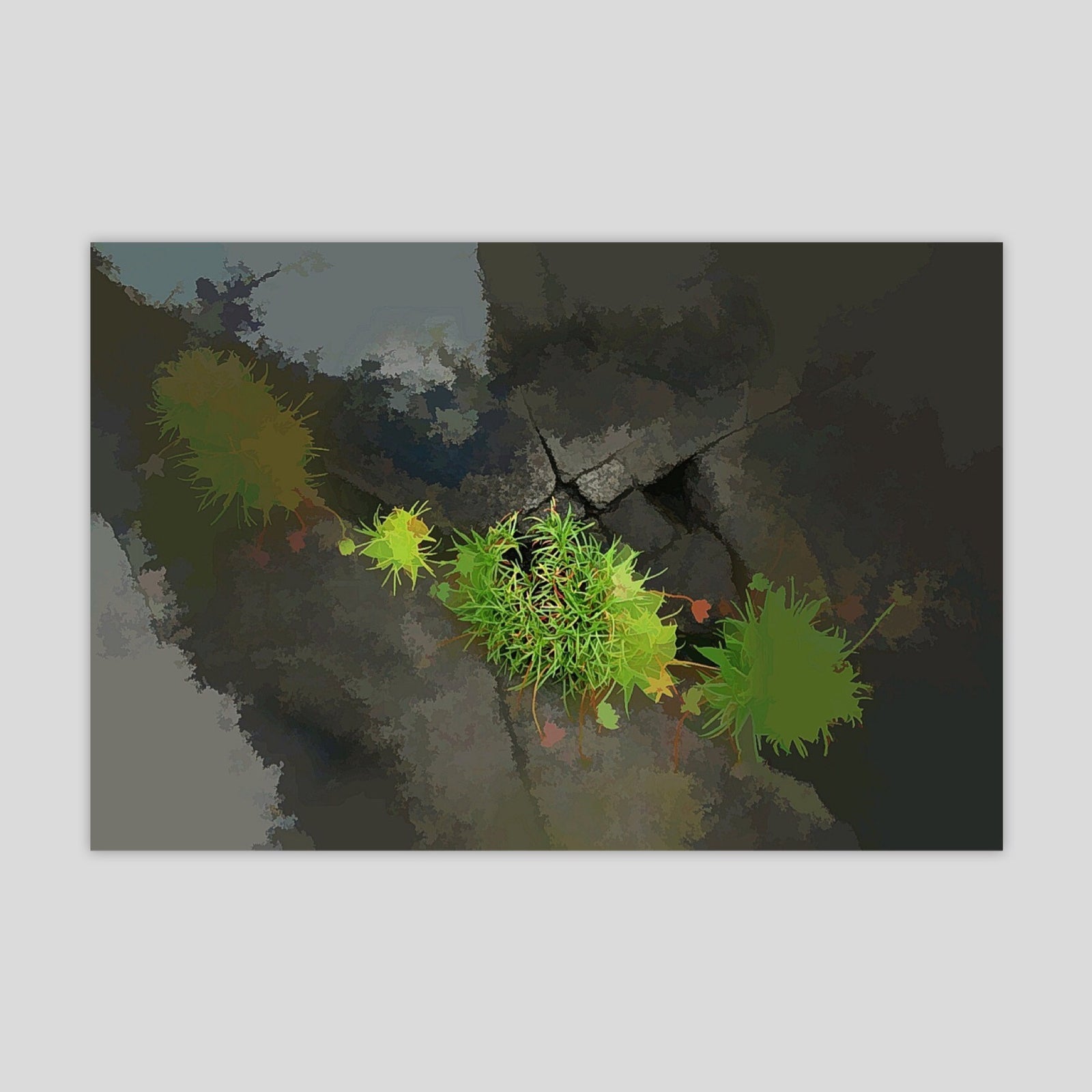 Burren Flowers (3225R-M7)