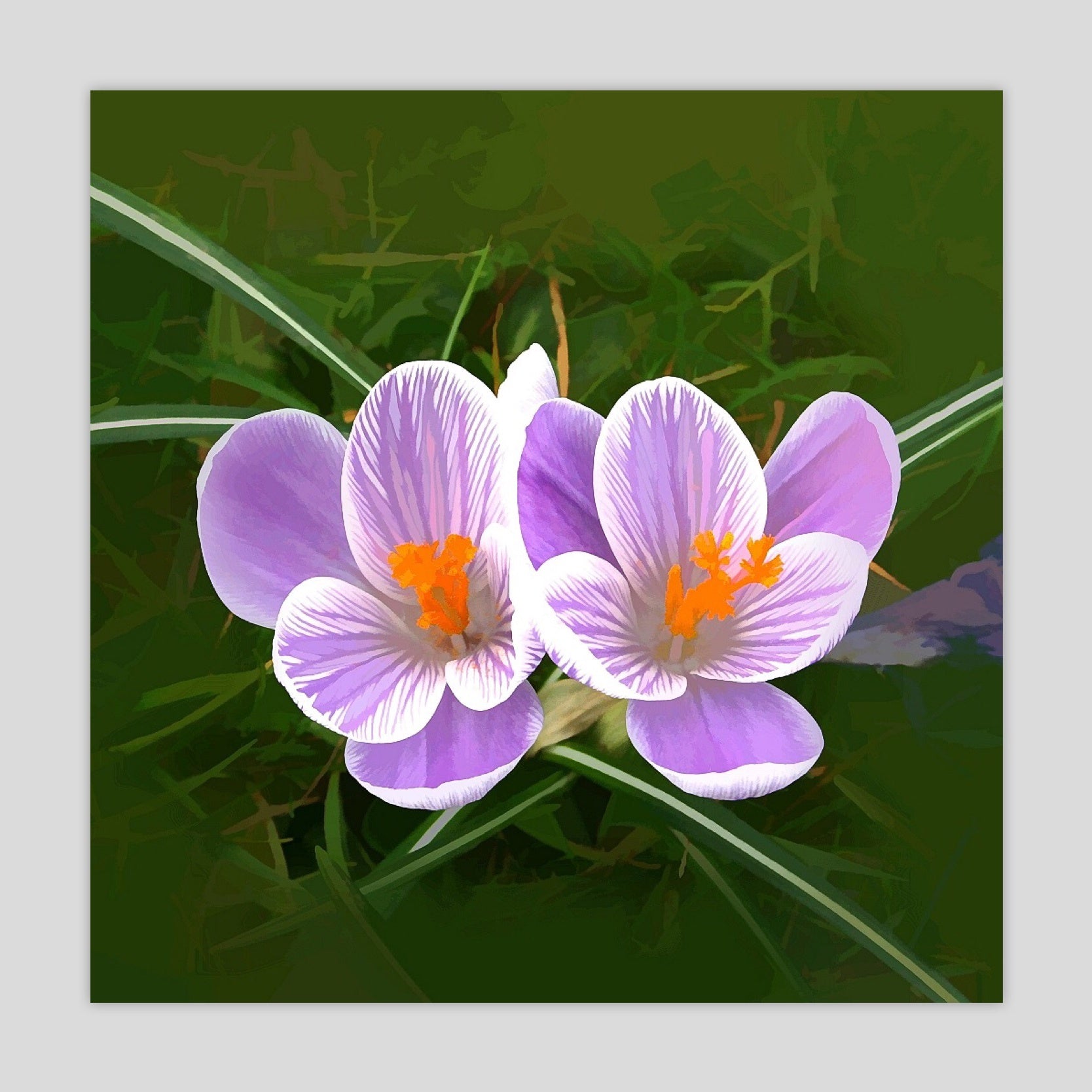 Floral 7 (3022S-M7)