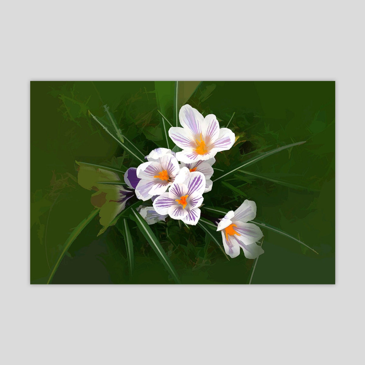 Floral 6 (3021R-M7)
