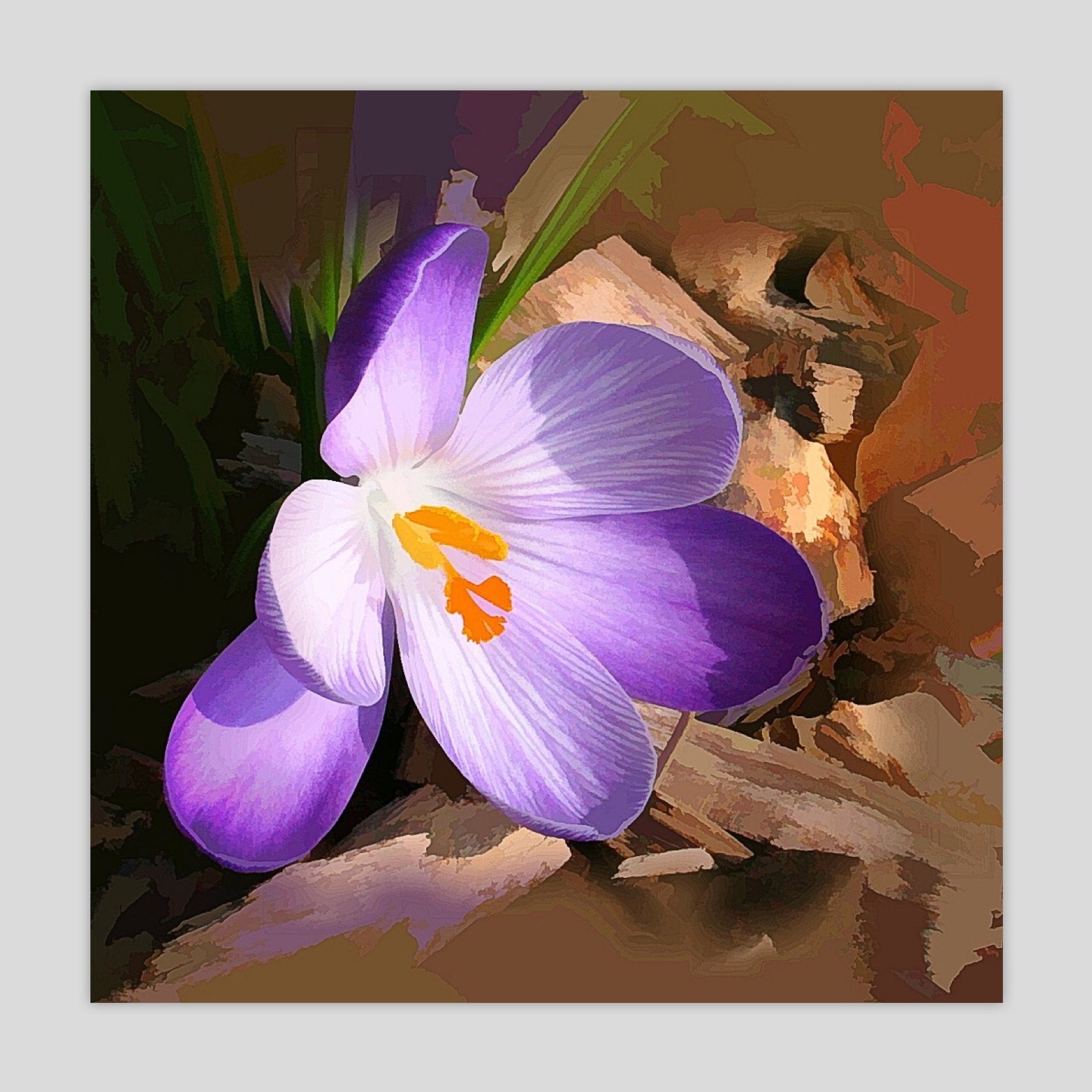 Floral 1 (2469S-M7)