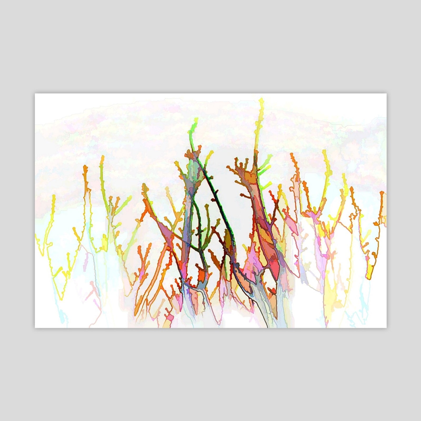 Borders 1 (2432R-M8C)