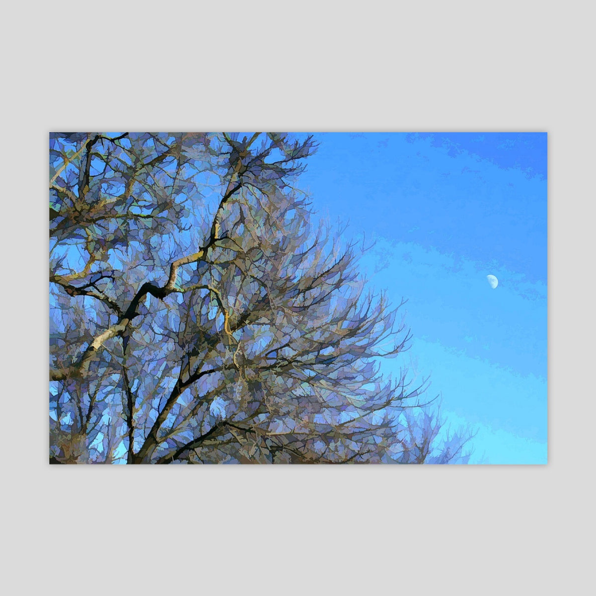 Daylight Moon (3459R-M3)