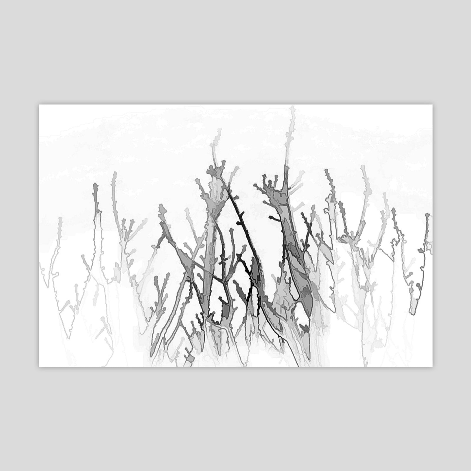 Borders 2 (2432R-M8BW)