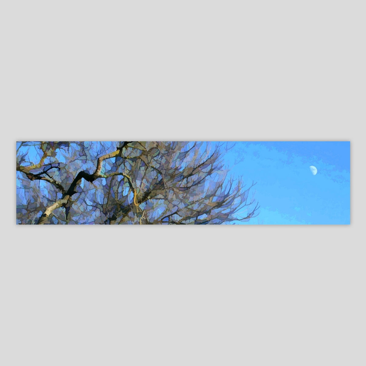 Daylight Moon Panorama (3459P-M3)