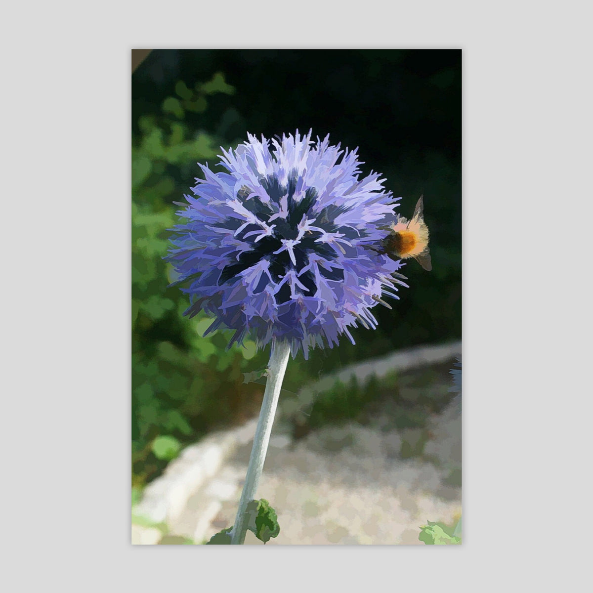 Bumblebee 3 (3317R-M4)