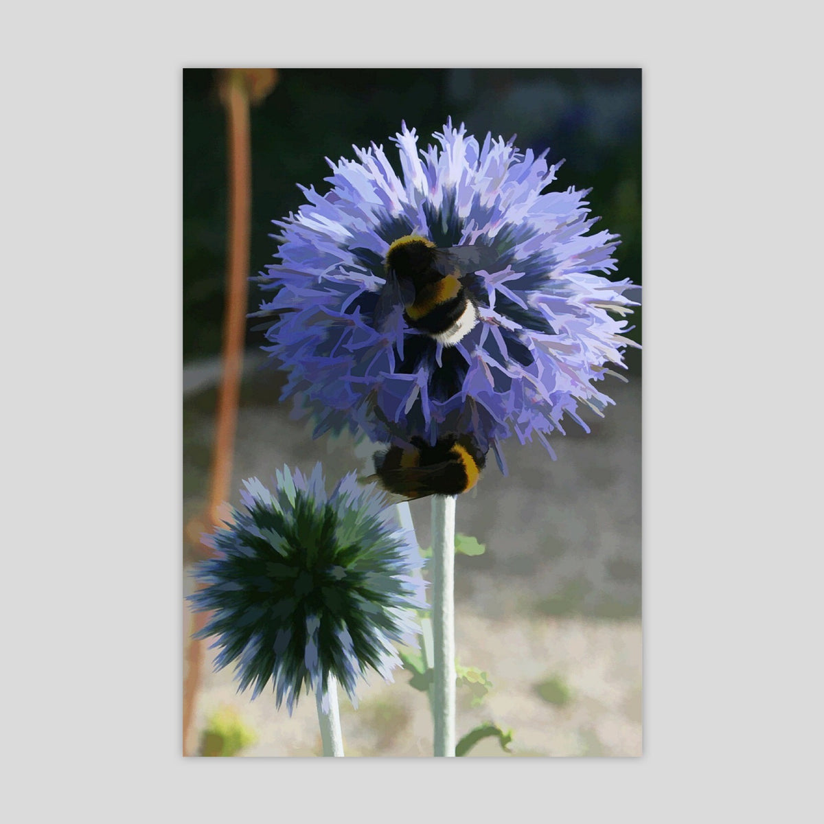 Bumblebee 1 (3312R-M4)