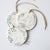 Christmas Hanging Disc -Fox
