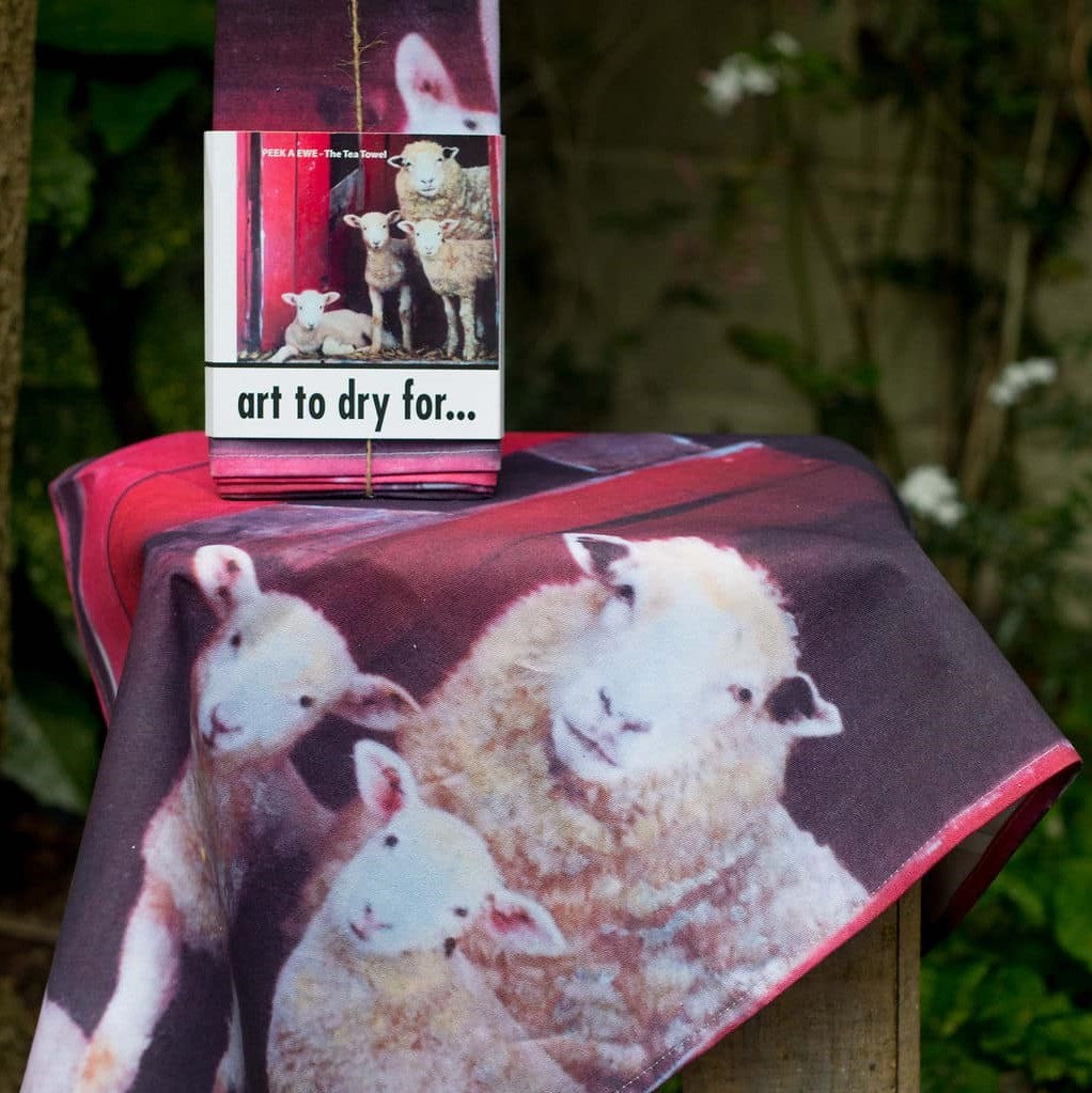 Tea Towel - Peek-a-Ewe